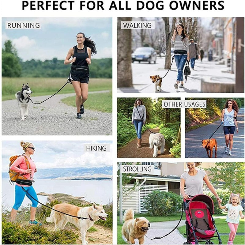 Hands Free Dog Leash With Shock Absorbing Bungee Leash For Up To 180lb Dogs - Cool Creations