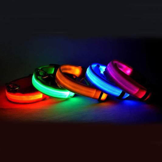 Nylon LED Luminous Dog Collar for Night Safety - Cool Creations