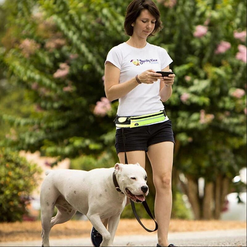 Hands Free Dog Leash With Shock Absorbing Bungee Leash For Up To 180lb Dogs - Cool Creations