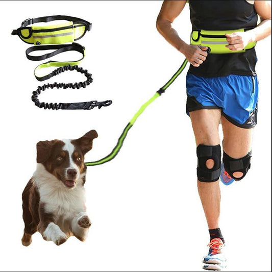 Hands Free Dog Leash With Shock Absorbing Bungee Leash For Up To 180lb Dogs - Cool Creations