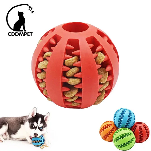 Dog Ball Chew Toy - Cool Creations