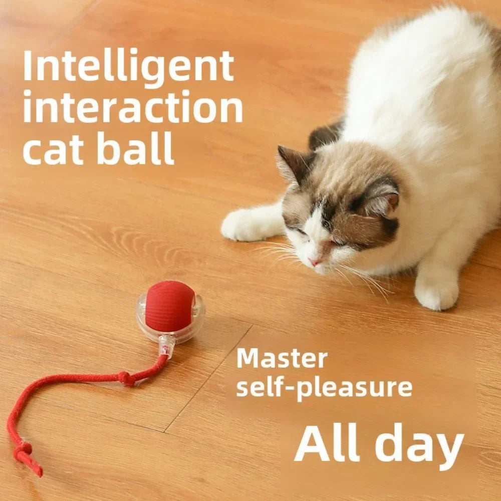 Rechargeable Smart Pet Interactive Automatic Rolling Ball Toy