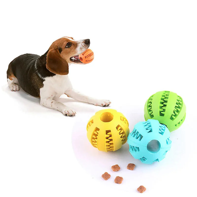 Dog Ball Chew Toy - Cool Creations