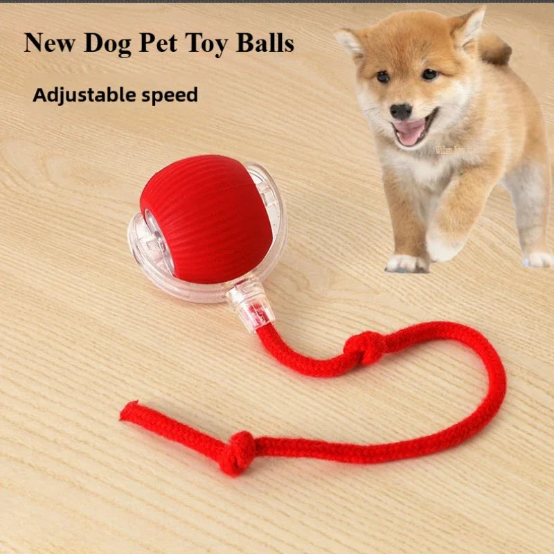 Rechargeable Smart Pet Interactive Automatic Rolling Ball Toy