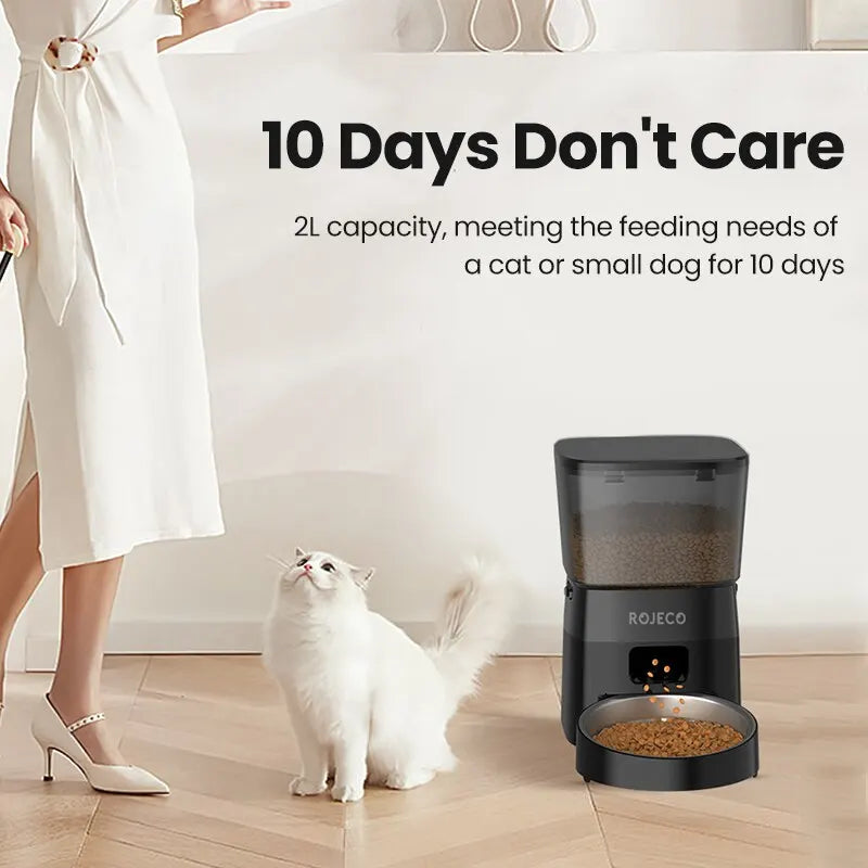 Automatic Dry Food Pet Feeder For Cats or Small Dogs - Cool Creations