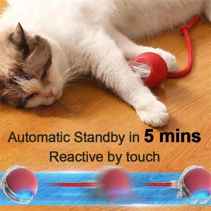 Rechargeable Smart Pet Interactive Automatic Rolling Ball Toy